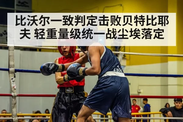 比沃尔一致判定击败贝特比耶夫 轻重量级统一战尘埃落定